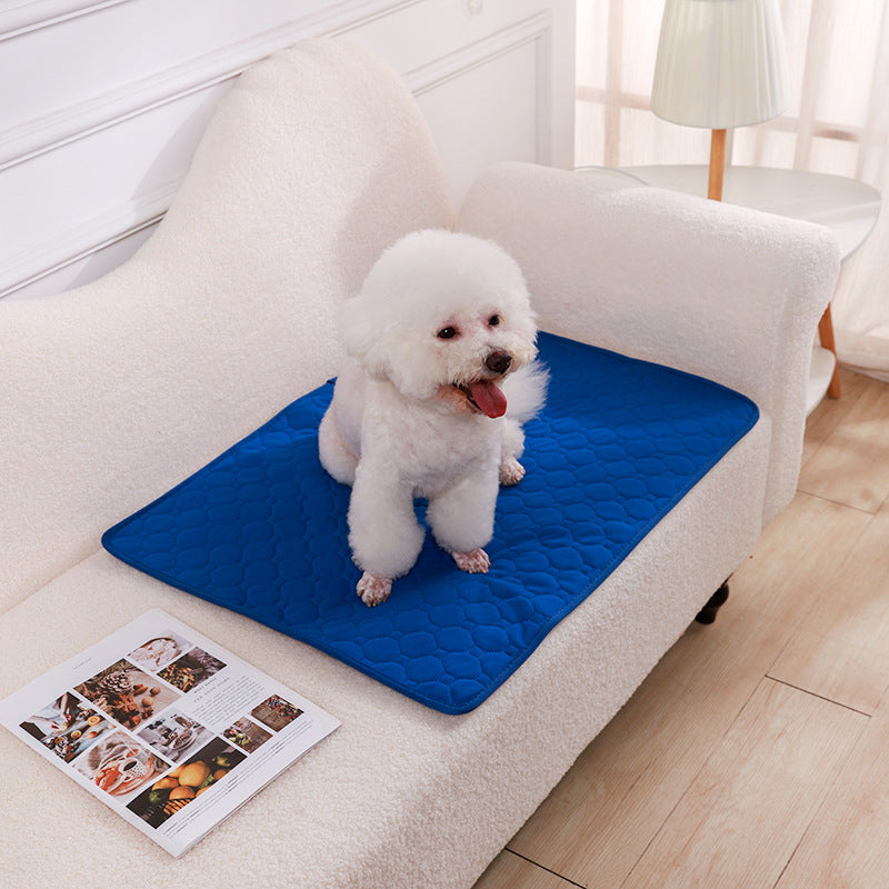 Urinal Pad For Pet Washable Dog Diapers Non - slip Absorbent Easy To Dry - 0 - CJ - Blue - XXS - CJYD227418748VE
