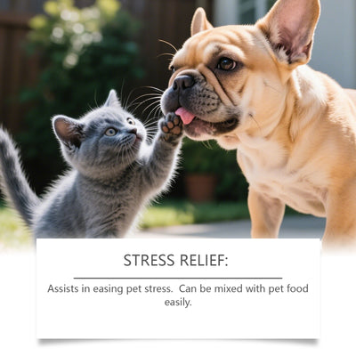 Kriath Pet Cat And Dog Care Drops Gentle, Nourishing, And Soothing Drops For Cats And Dogs, Ideal For Daily Sleep And General Care - 0 - CJ