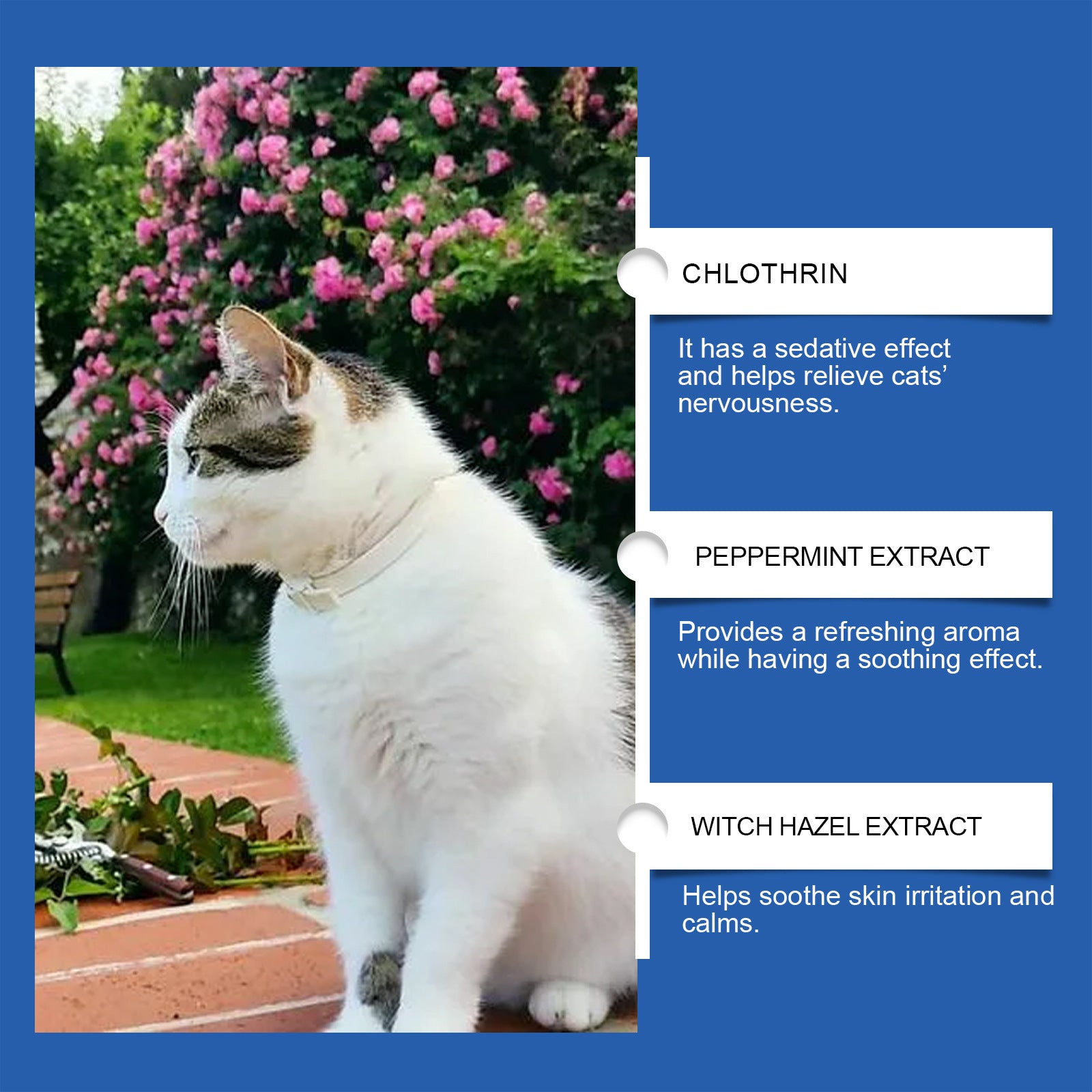 Cat Mood Diffuser Suit - 0 - CJ