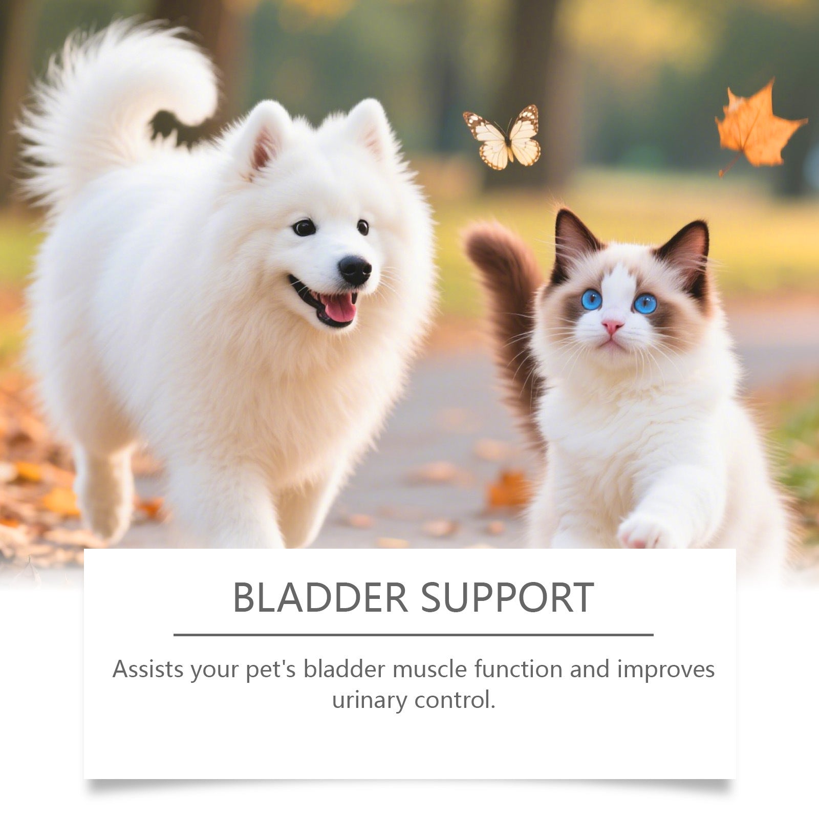 Cat And Dog Urinary Health Drops - 0 - CJ