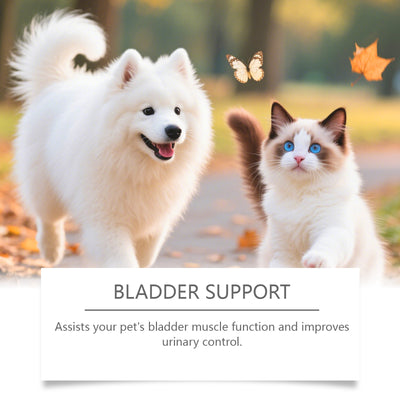 Cat And Dog Urinary Health Drops - 0 - CJ
