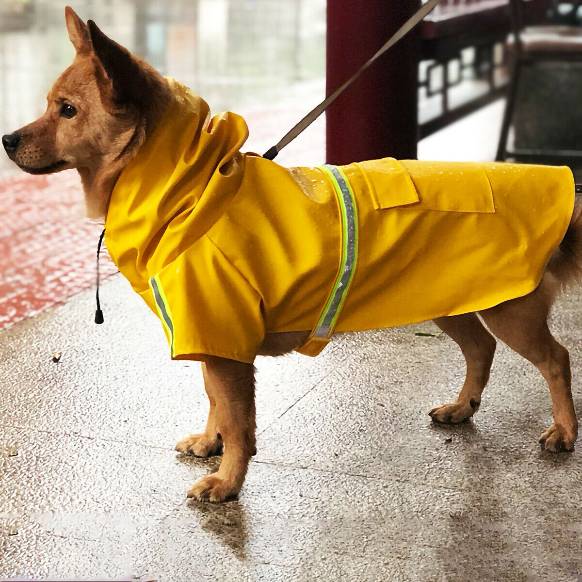 Dog Raincoat,Waterproof Dog Rain Jacket With Safety Reflective Stripe,Hooded Slicker Dachshund Doggy Dog Poncho With Leash For Dogs And Puppies - 5 - CJ