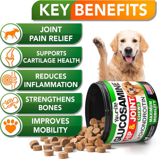 Pet Hip & Joint Supplement Chondroitin - 0 - CJ