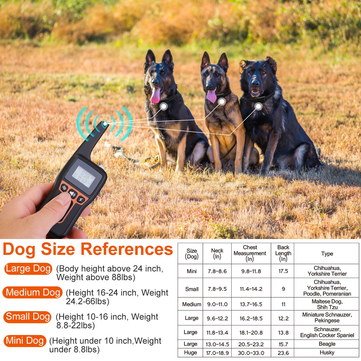 Train Collar OR Receiver Only Options - 3280FT Dog Training Collar IP67 Waterproof Pet Beep Vibration Electric Shock Collar 3 Channels Rechargeable Transmitter Receiver Trainer With Flashlight - 5 - CJ