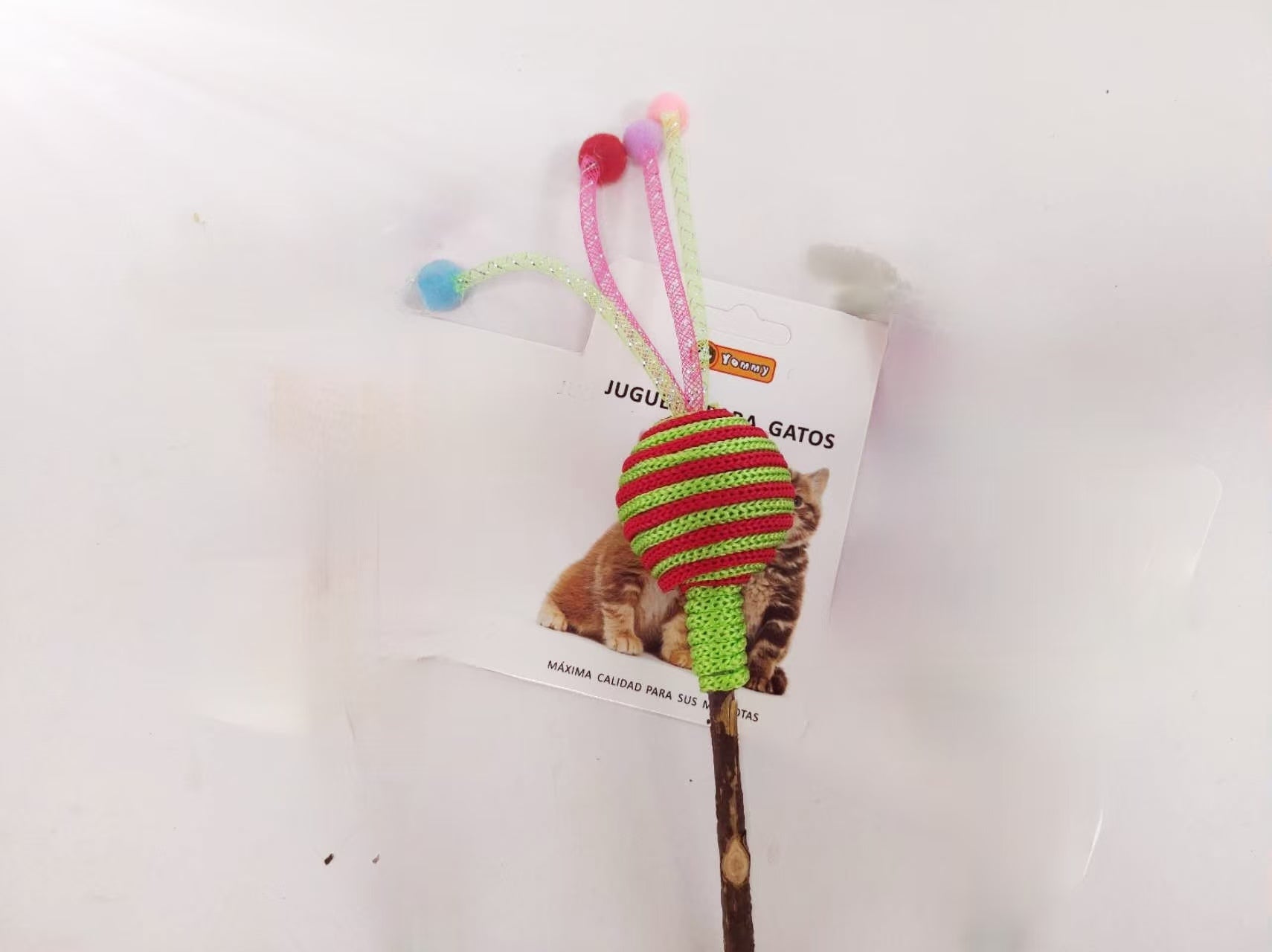 Polygonum Multiflorum Lollipop - 5 - CJ