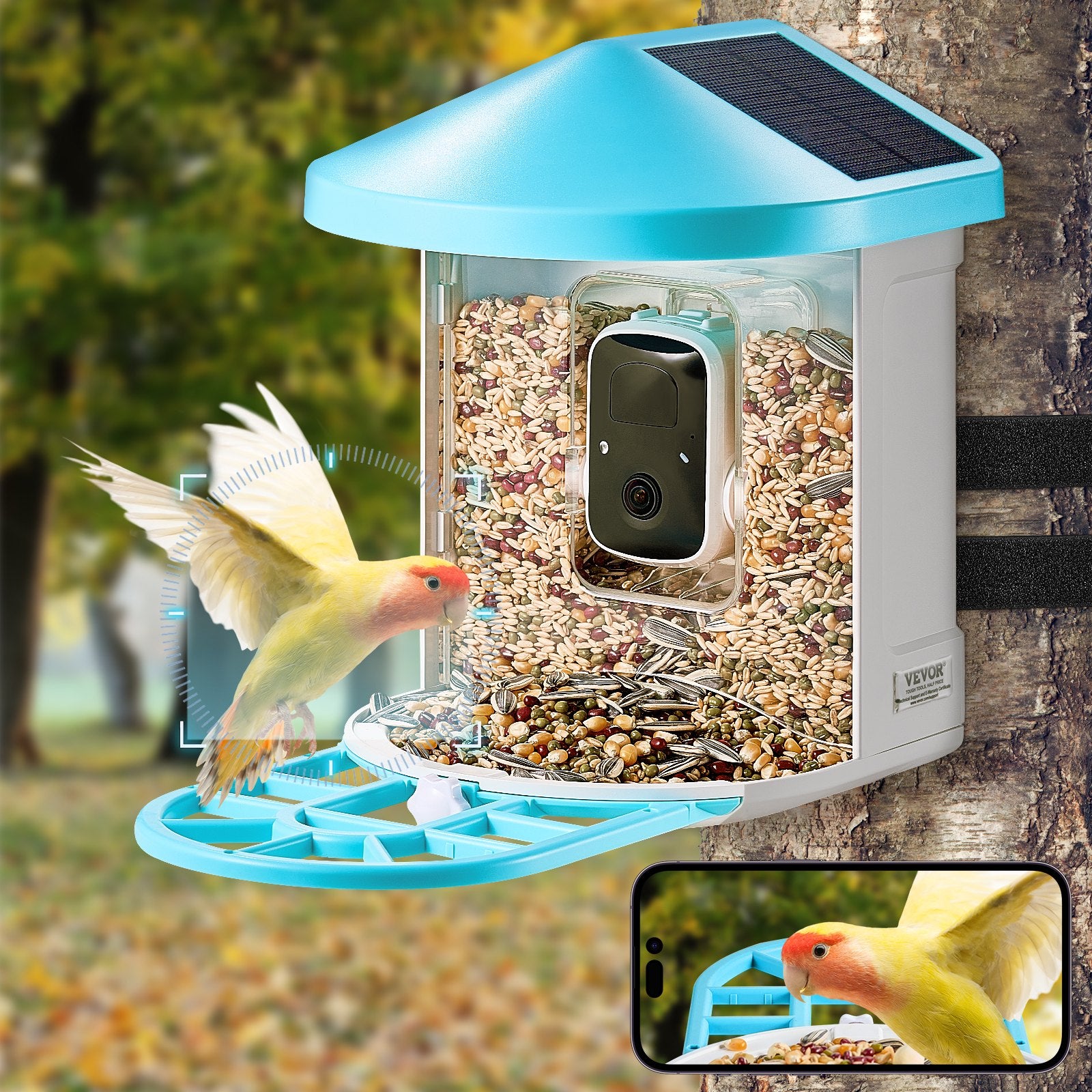 Smart Bird Feeder With Camera AI Identify 10000+ Bird Specie Solar - Powered - 5 - CJ