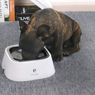 Non - wet Mouth Dog Bowl, Floating Bowl, Anti - overturning - 0 - CJ