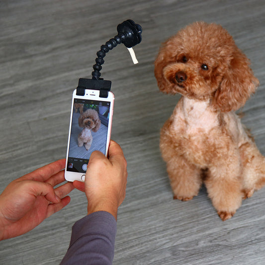 Pet Selfie Stick Pet Supplies Toys Pet Selfie Artifact - 0 - CJ