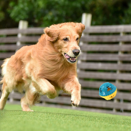 Dog Chew Toys Grinding Teeth Sound Ball Toys Leaking Food Balls Anti Bite Interactive Training Cleaning Teeth Toys Pet Products - 5 - CJ