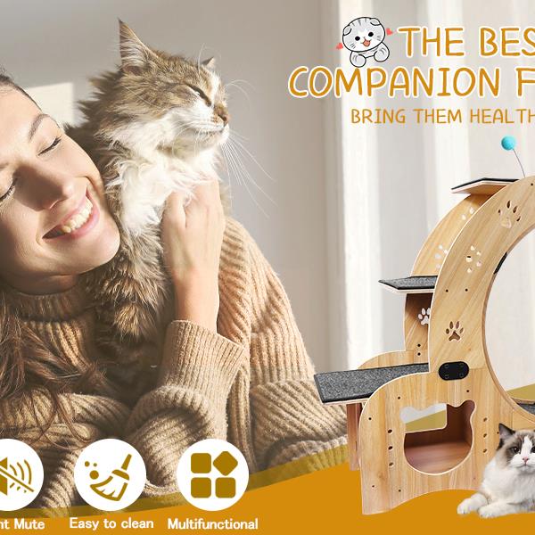 Cat Wheel 6 - in - 1 Cat Sports Wheel, Upgraded Indoor Cat Wheel Sports Device - 5 - CJ