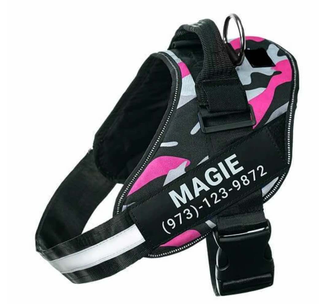 Personalized Custom Reflective Breathable Dog Harness NO PULL Adjustable Pet Harness For Small Large Dog Harness Vest With Patch - 7 - CJ