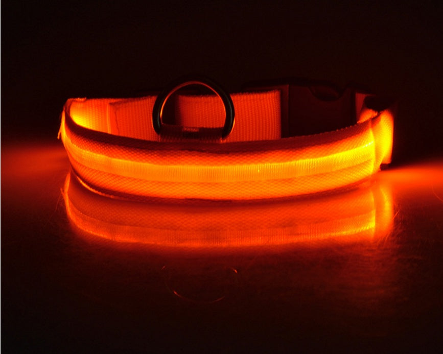 Nylon LED Pet Dog Luminous Collar Night Safety Flashing Glow in Dark Dog Cat Leash Adjustable Pet Supplies - 0 - CJ