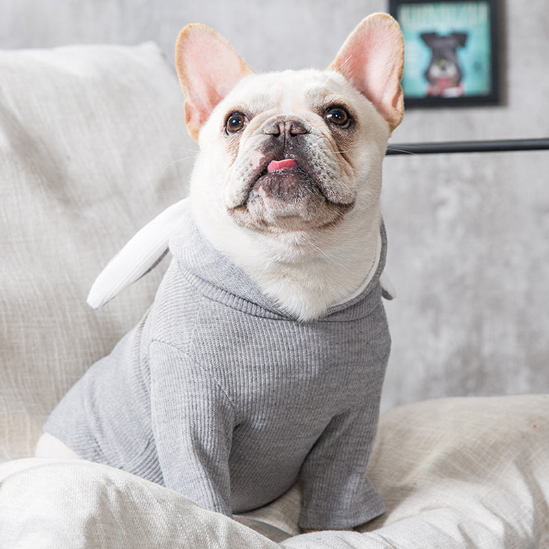 Dog Pet Clothes Spring And Autumn Clothing - 0 - CJ
