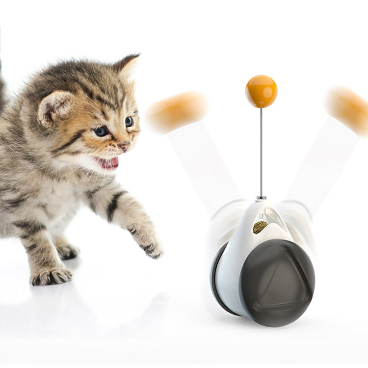 Balance swing car funny cat toy - 0 - CJ