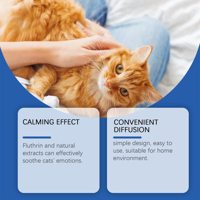 Cat Mood Diffuser Suit - 0 - CJ