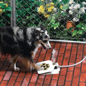 Outdoor Dog Pet Water Fountain - 0 - CJ