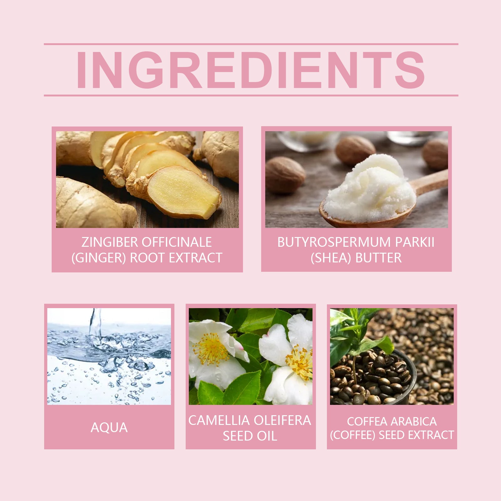 Wiyun Body Massage Cream Improves Skin Elasticity, Firming And Gentle Formula Moisturizes And Nourishes Skin - 5 - CJ