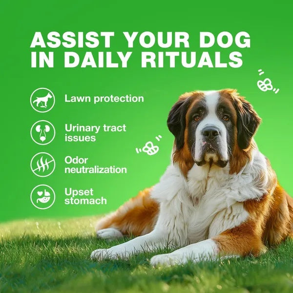Grass Burn Spot Chews For Dogs Urine Neutralizer - 5 - CJ