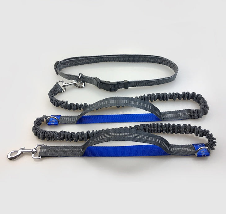 Amazon direct pet supplies multi - function running reflective pull dog leash double elastic dog leash traction - 0 - CJ - Royal blue - CJJJCWGX00044 - Royal blue