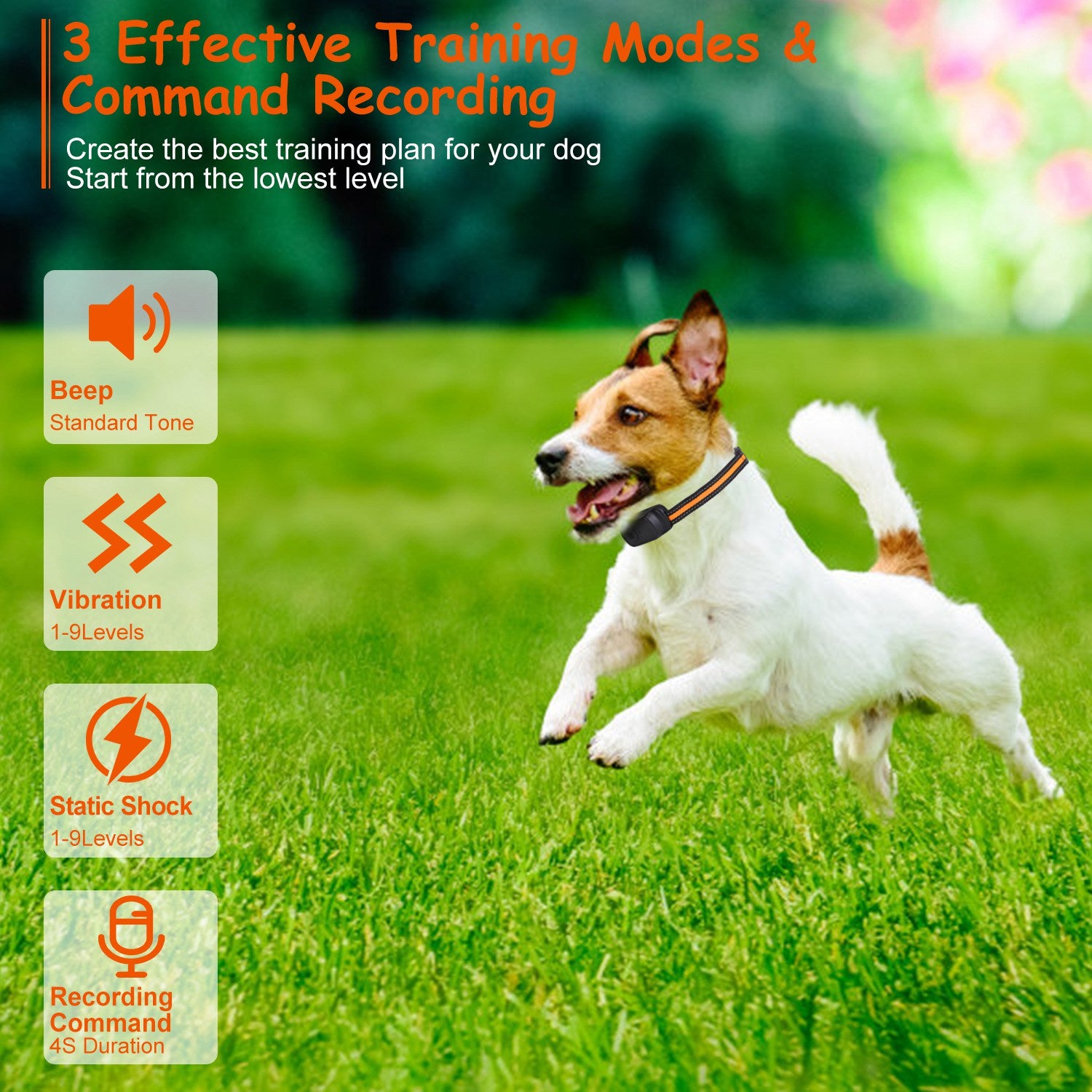 1Pc 984FT Dog Training Collar IP65 Waterproof Pet Beep Vibration Electric Shock Collar 3 Channels Rechargeable Transmitter Receiver Trainer With Recording Safety Keypad Lock - 5 - CJ