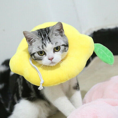 Adjustable Pet Neck Cone Recovery Pet Cat Recovery Collar Cat Soft Lemon Neck Cone Adjustable Pet E Collar After Surgery, Wound Healing Protective Cat Elizabethan Collar For Kitten & Puppy - 5 - CJ