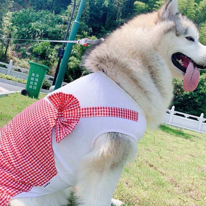 Dog Clothes Princess Dog Costume Labrador Golden Retriever Big Dog Clothes - 0 - CJ