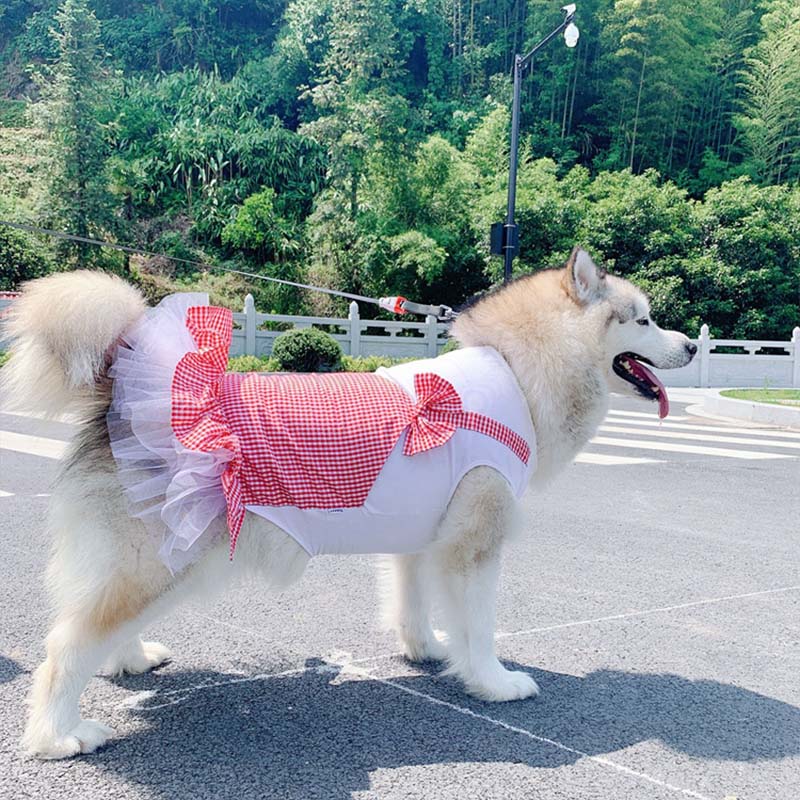Dog Clothes Princess Dog Costume Labrador Golden Retriever Big Dog Clothes - 0 - CJ