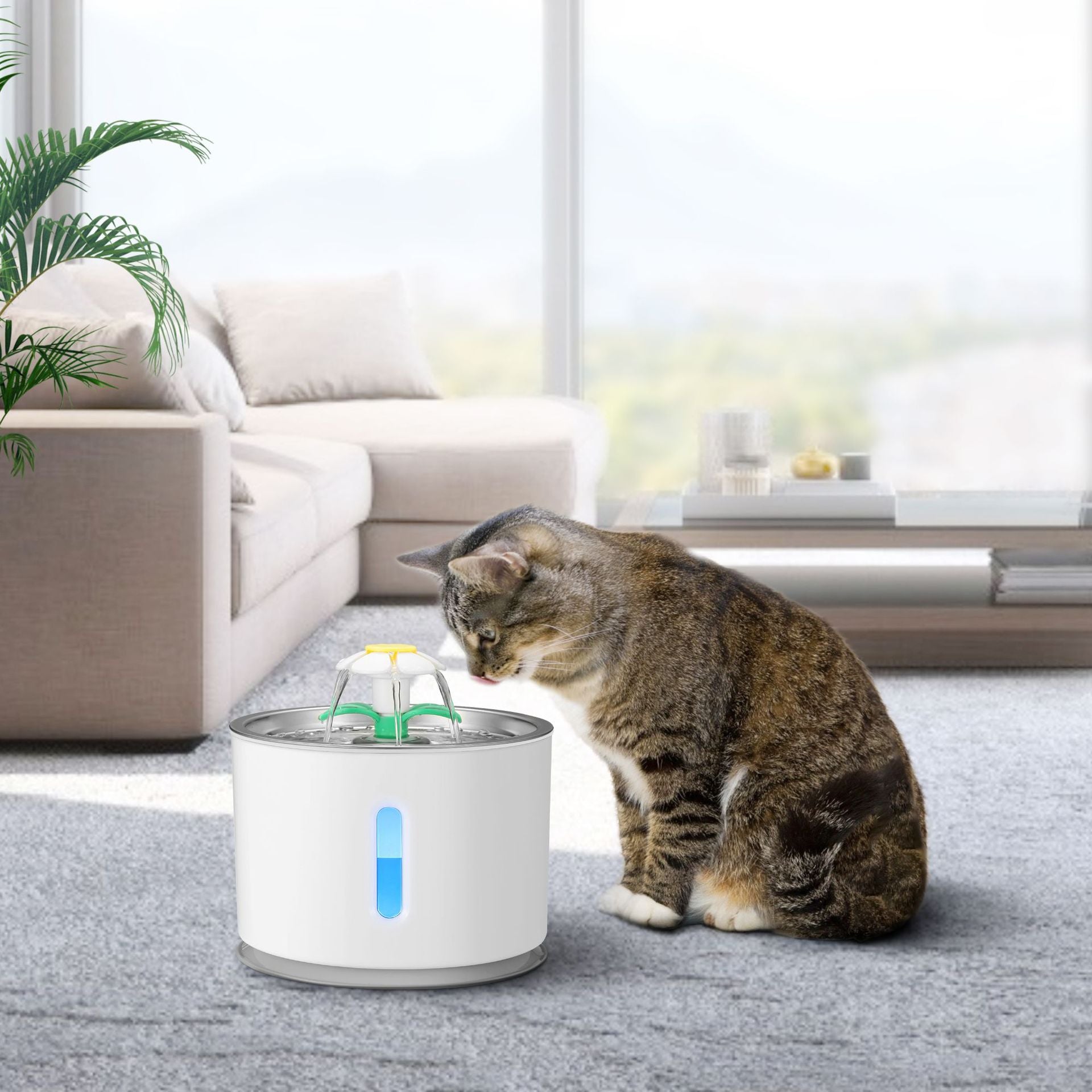 Stainless Steel Pet Water Dispenser For Cats And Dogs - 0 - CJ