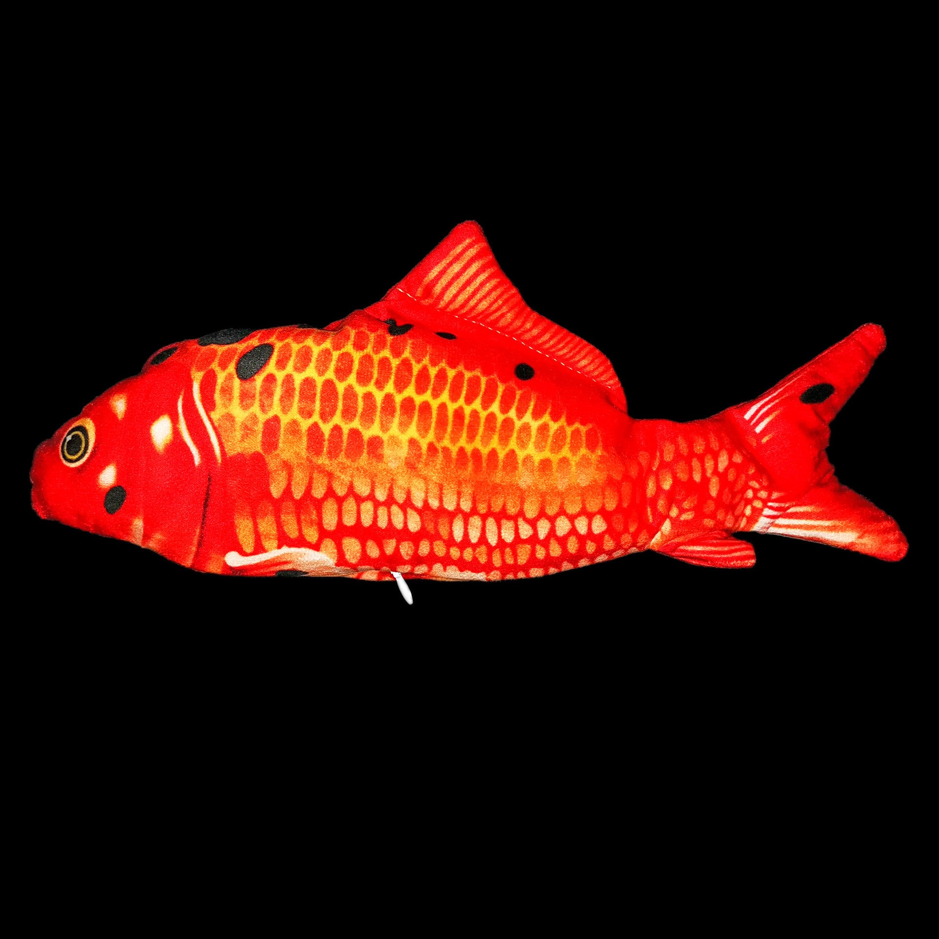 Without Cat Nip Version - Electric Jumping Fish Simulation Electric Fish Toy - 0 - CJ