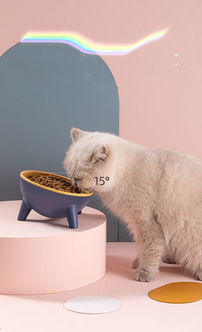 Cat Dog Bowl With Stand Pet Feeding Food Bowls Dogs Bunny Rabbit Nordic Color Feeder Product Supplies Pet Accessories - 0 - CJ