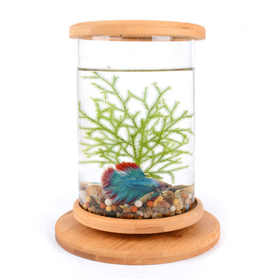 Small Office Glass Aquarium Bamboo Base Mini Fish Tank Decoration Fish Bowl - 0 - CJ