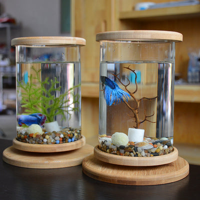 Small Office Glass Aquarium Bamboo Base Mini Fish Tank Decoration Fish Bowl - 0 - CJ