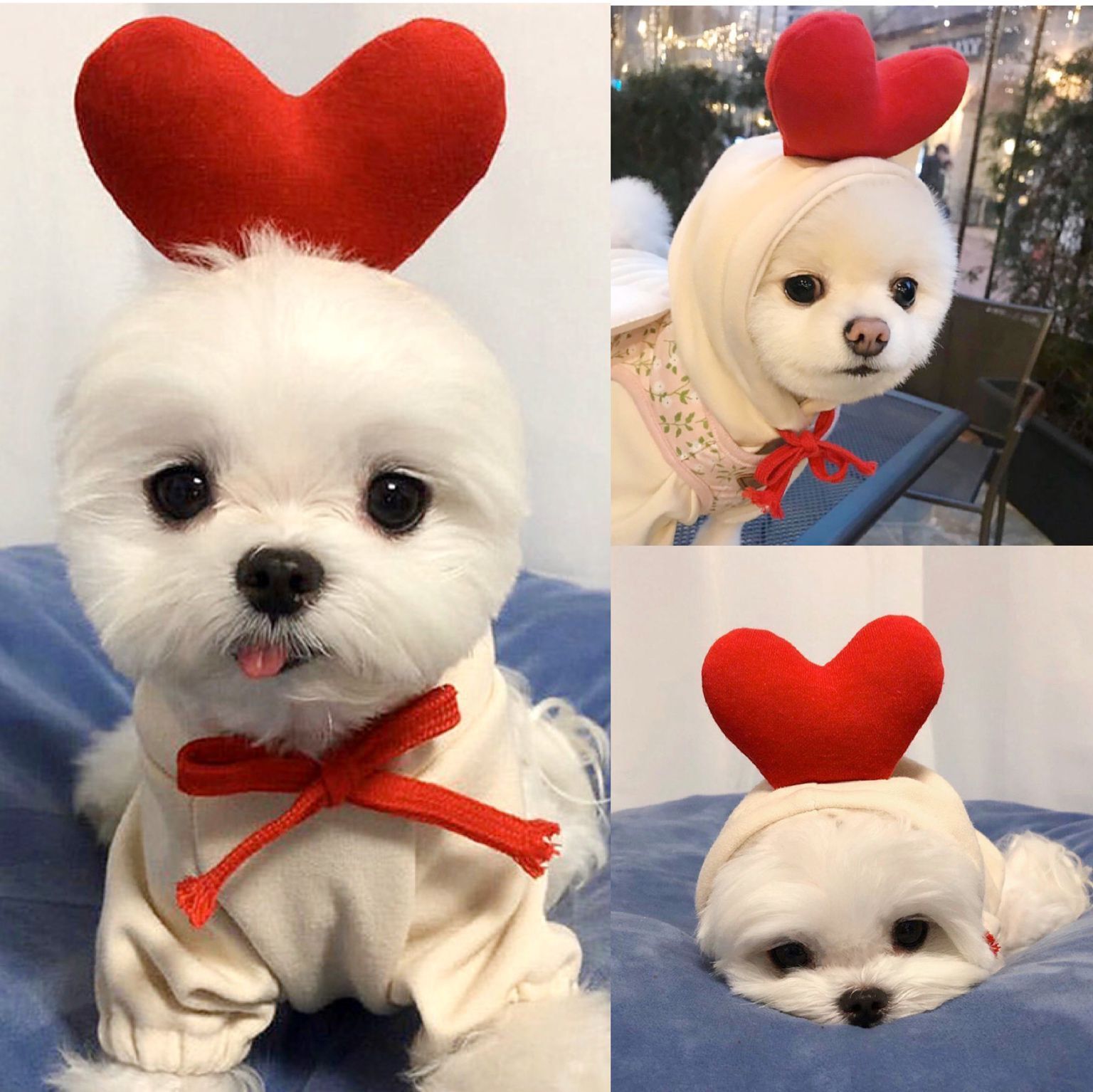 Cute Fruit Dog Clothes For Small Dogs Hoodies Winter Warm Fleece Pet Clothing Puppy Cat Costume Coat For French Chihuahua Outfit - 0 - CJ