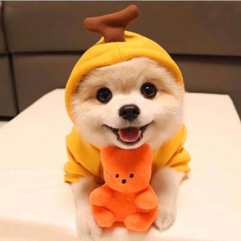 Cute Fruit Dog Clothes For Small Dogs Hoodies Winter Warm Fleece Pet Clothing Puppy Cat Costume Coat For French Chihuahua Outfit - 0 - CJ