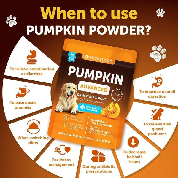 Pumpkin Powder For Dogs Digestive Support 16 OZ Fiber Supplement For Constipation For Gut Healthy Skin Digestion Glands Firm Stool Poop Anti Diarrhea Gas Relief Made In USA - 5 - CJ