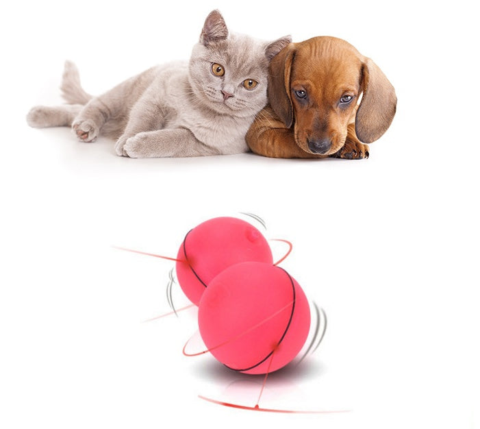 LED Laser Electronic Rolling Pet Funny Cat Toy Ball - 0 - CJ