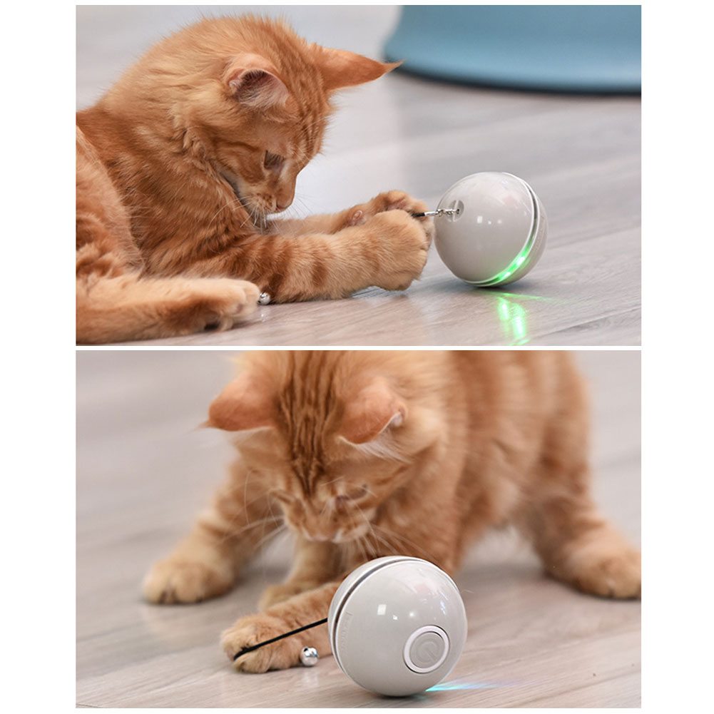 Colorful LED Laser Funny Cat Ball - 0 - CJ