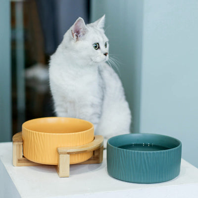 Cat food bowl - 0 - CJ