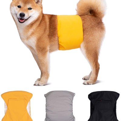 Pet - specific Dog Physiological Belt Diaper - 0 - CJ