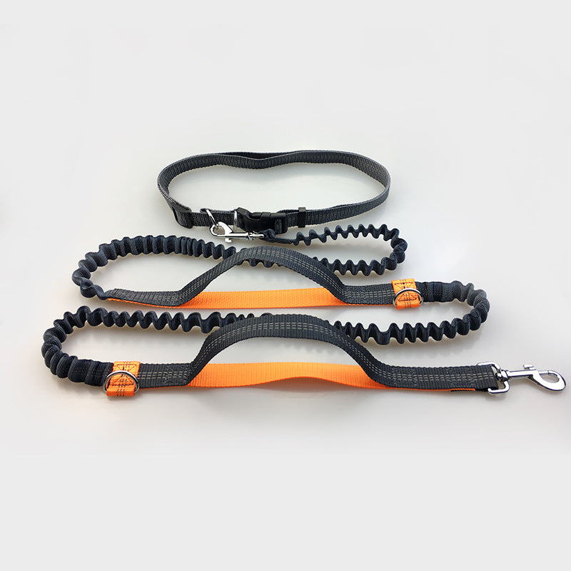Amazon direct pet supplies multi - function running reflective pull dog leash double elastic dog leash traction - 0 - CJ