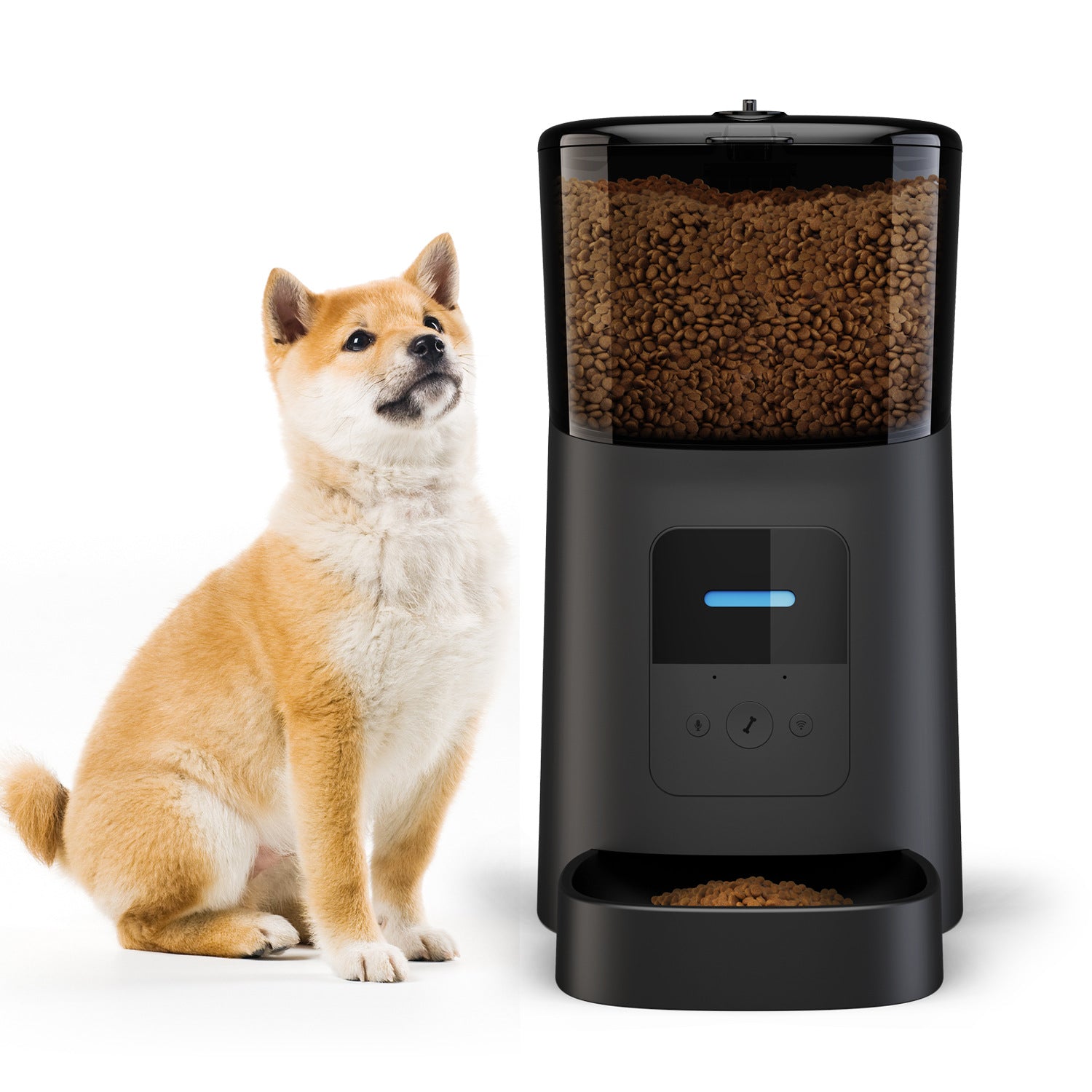 Pet feeder automatic - 0 - CJ