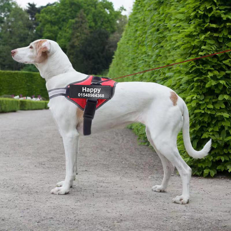 Personalized Custom Reflective Breathable Dog Harness NO PULL Adjustable Pet Harness For Small Large Dog Harness Vest With Patch - 7 - CJ