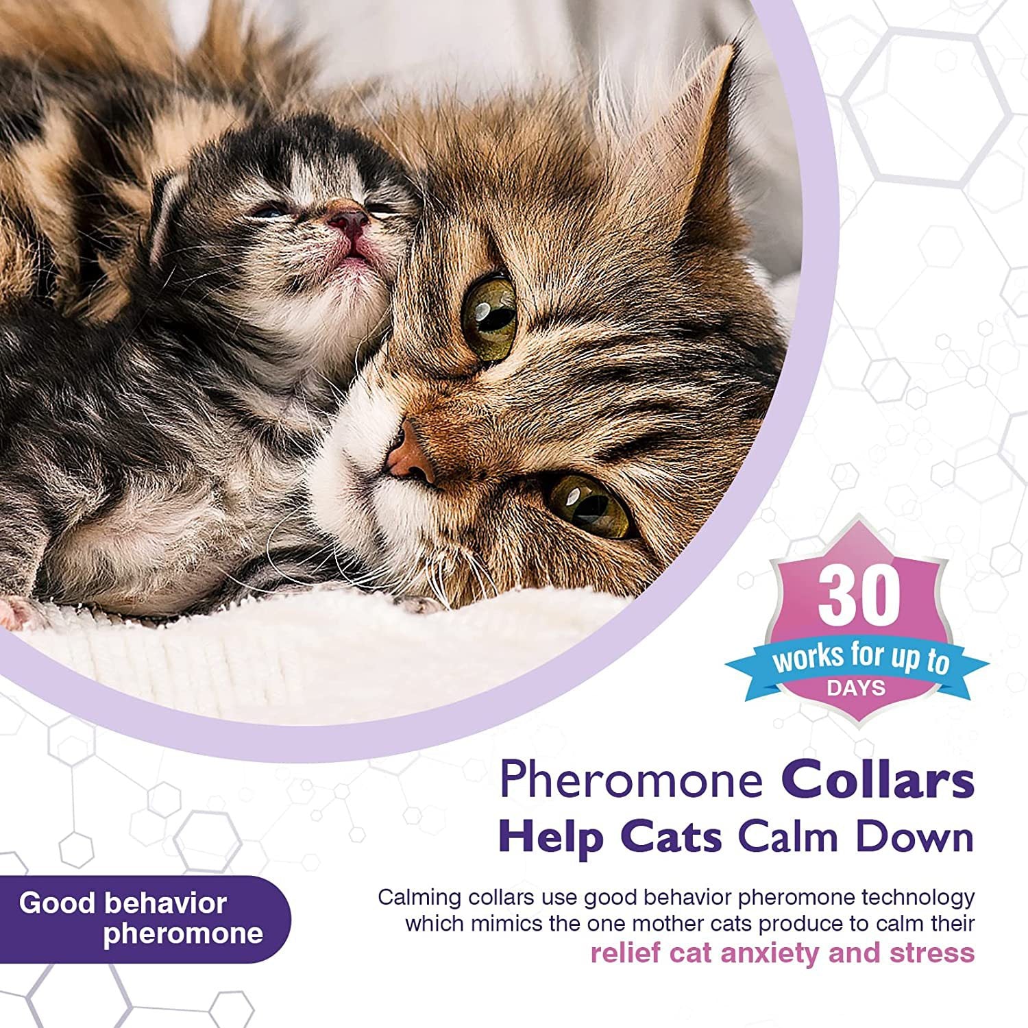 Pet Calm Collar Cat Comfort Collar Relieve Anxiety - 0 - CJ