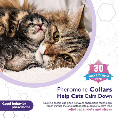 Pet Calm Collar Cat Comfort Collar Relieve Anxiety - 0 - CJ