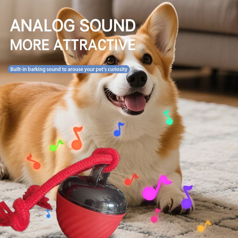 Smart Dog Cat Toy Ball Electronic Interactive Pet Toy Moving Ball Rope USB 3 Modes Automatic Moving Bouncing For Puppy Chew Products Pets Products - 0 - CJ