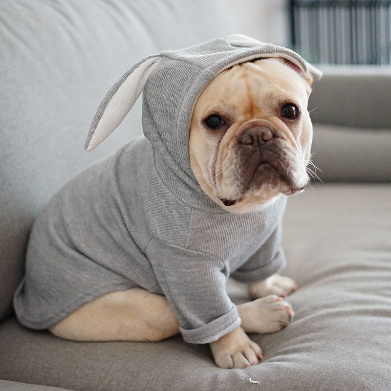 Dog Pet Clothes Spring And Autumn Clothing - 0 - CJ - Light Grey - XL - CJJJCWGD00241 - Light Grey - XL