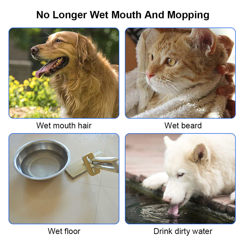 1.5L Cat Dog Water Bowl Carried Floating Bowl Anti - Overflow Slow Water Feeder Dispenser Pet Fountain ABS&PP Dog Supplies - 0 - CJ