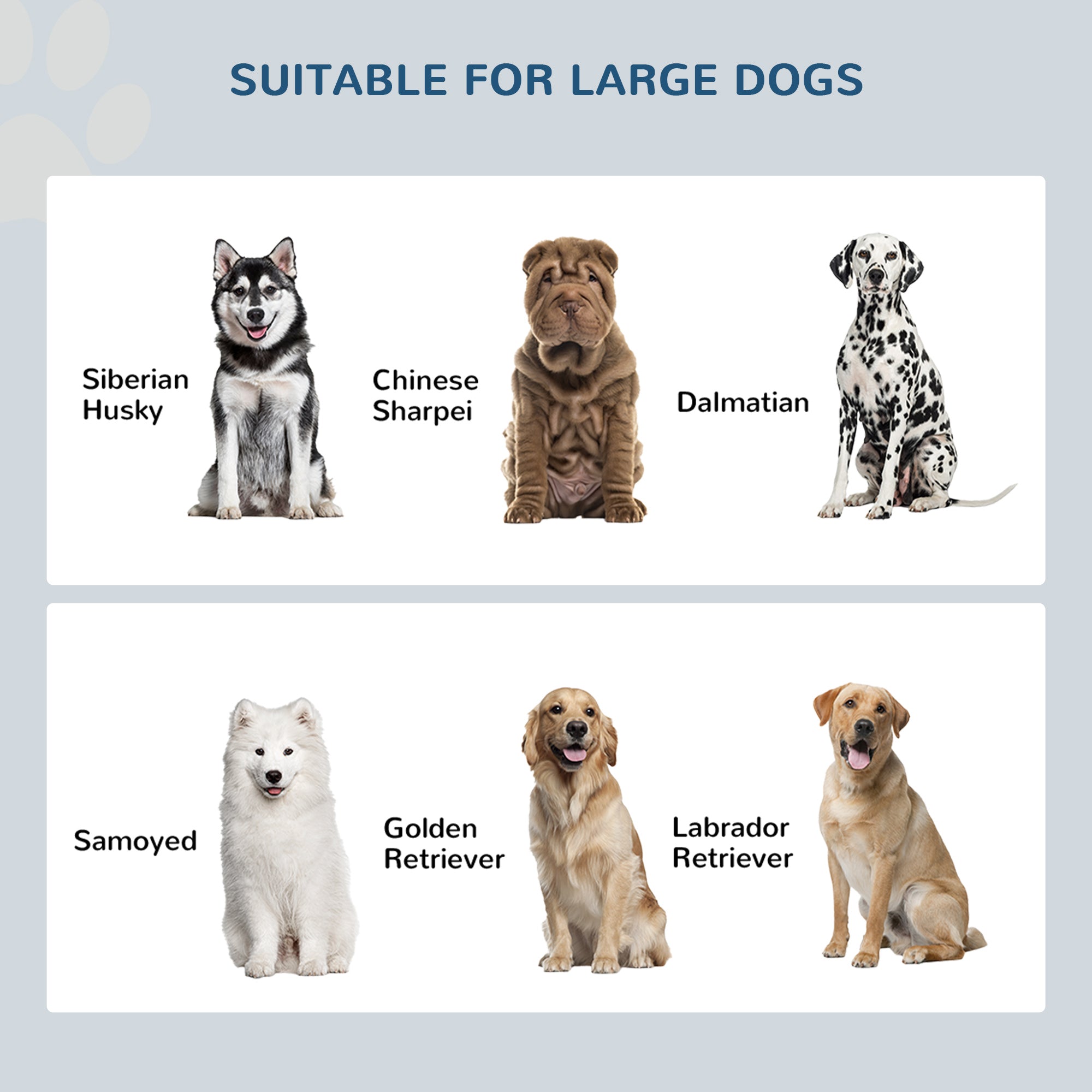 Large Elevated Dog Bowls with Storage Cabinet Containing Large 44L Capacity, Raised Dog Bowl Stand Pet Food Bowl Pet Feeding Station, White - 5 - CJ