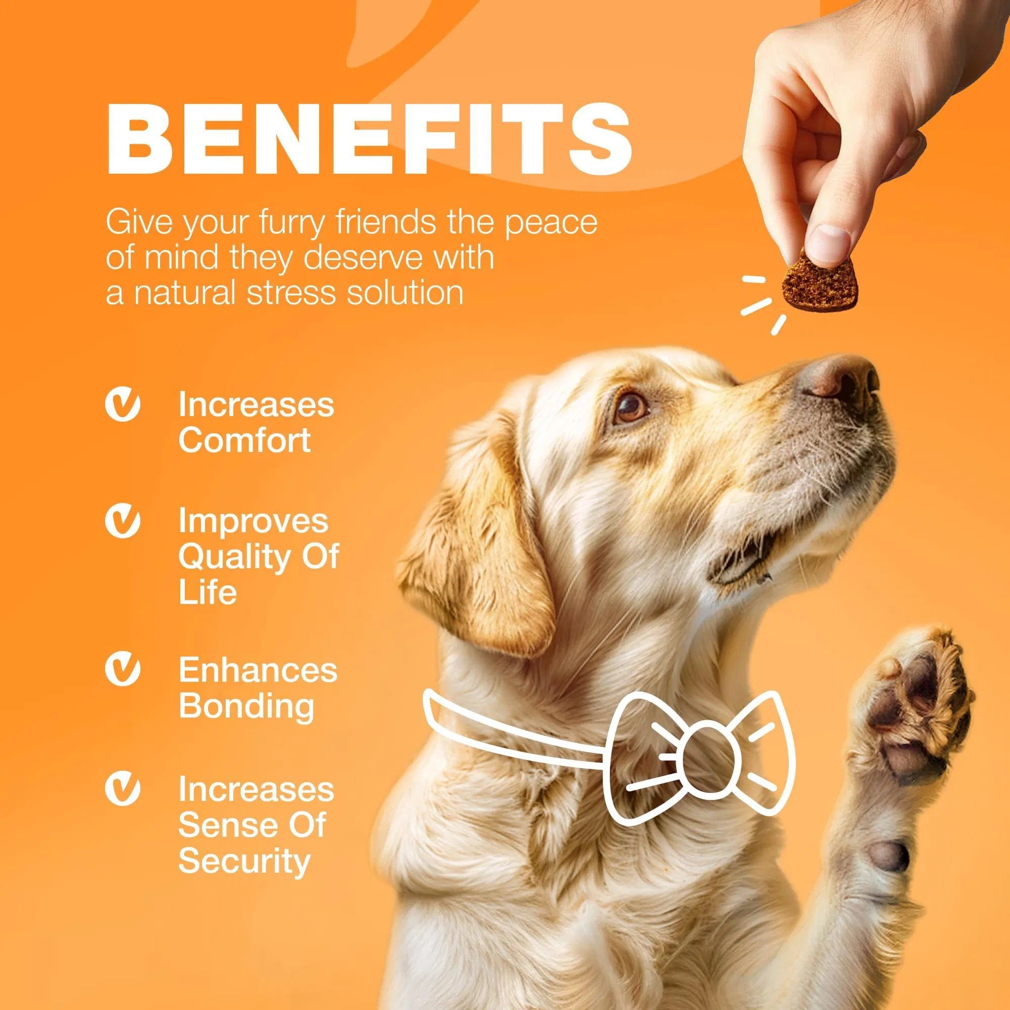 Dog Allergy Relief Chews Itch Relief For Dogs Anti Itch Dog Allergy Chews US Formulated Dog Itching Skin Relief With Salmon Oil Immune Health Seasonal Allergies & Hot Spots Support Treats - 5 - CJ