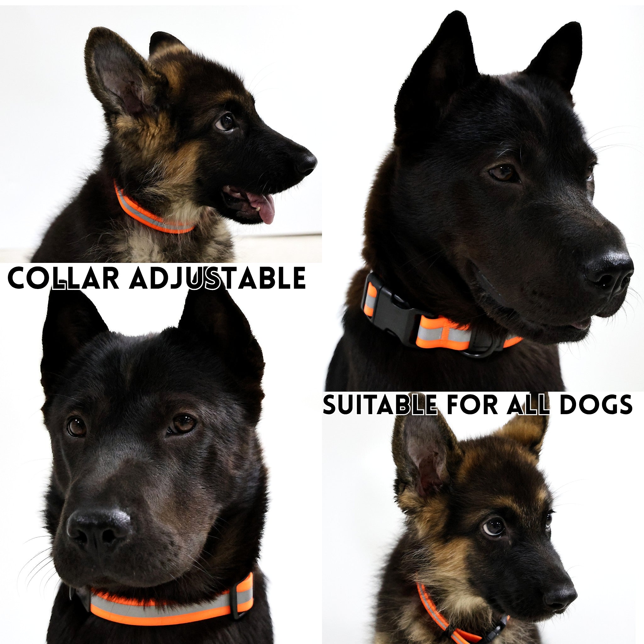 Reflective Leash Set It Can Reflect Light Sources Effectively Enhancing The Safety Of Pets During Outdoor Outings - 5 - cjdroshippping